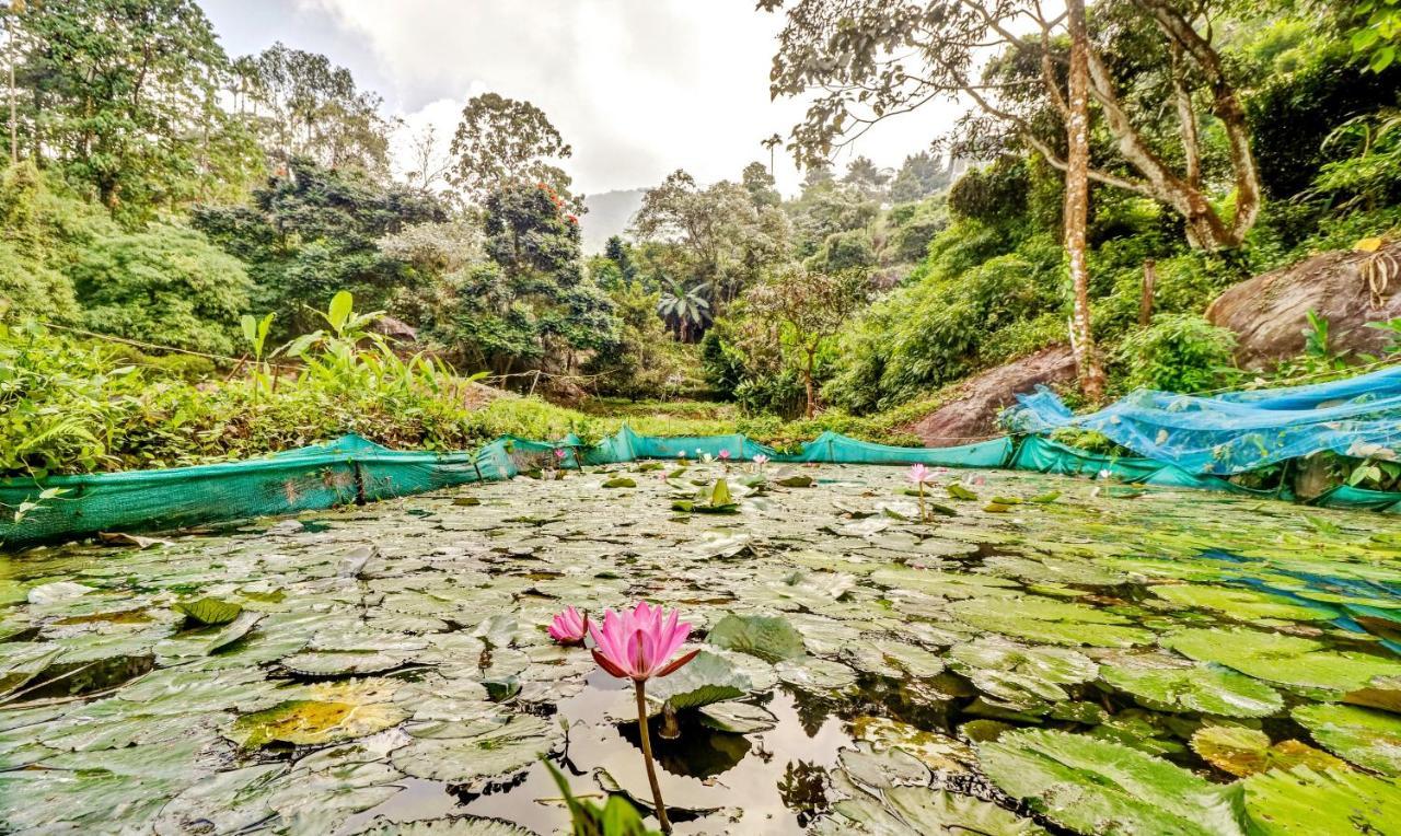 Treebo Tryst Jathika Resorts 科泽科德 外观 照片